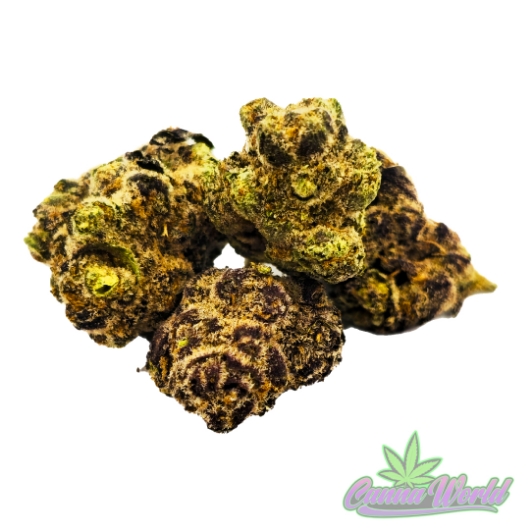 Picture of AAA Maluti X