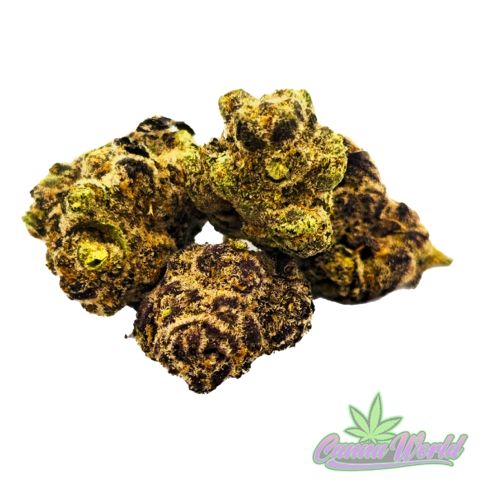 Picture of AAA Maluti X