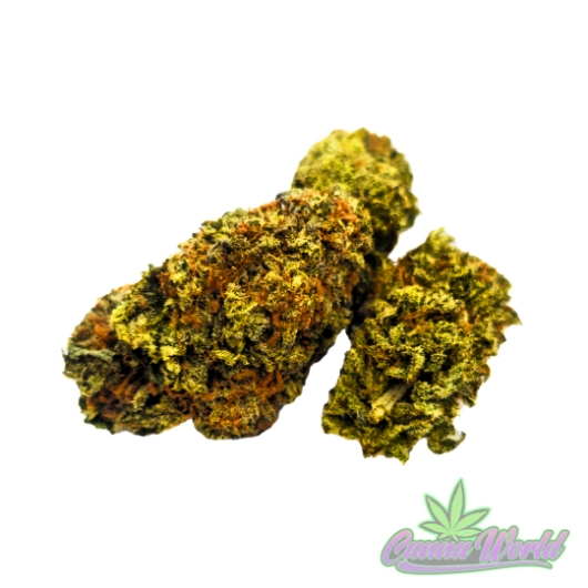 Picture of AAA Afgan