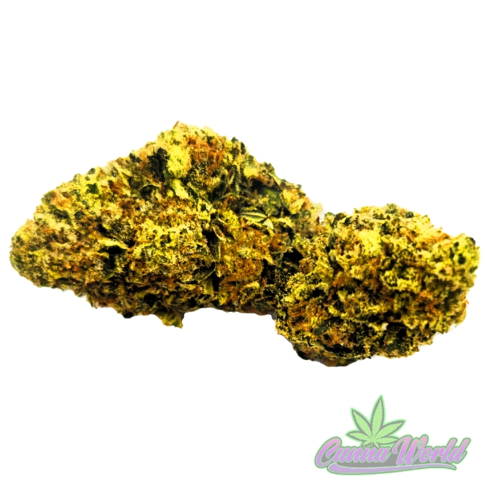 Picture of AAA Gelato