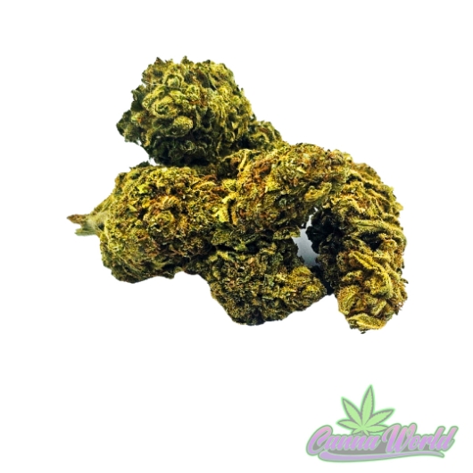 Picture of Crescendo 1g